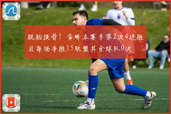 脱胎换骨！黄蜂本赛季第2次4连胜且每场净胜15联盟其余球队0次