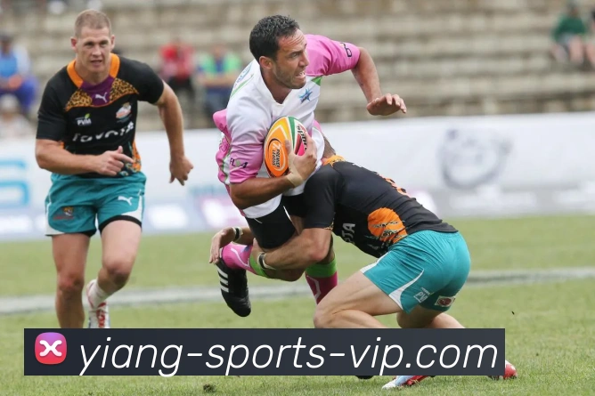 意昂体育APP 封面图